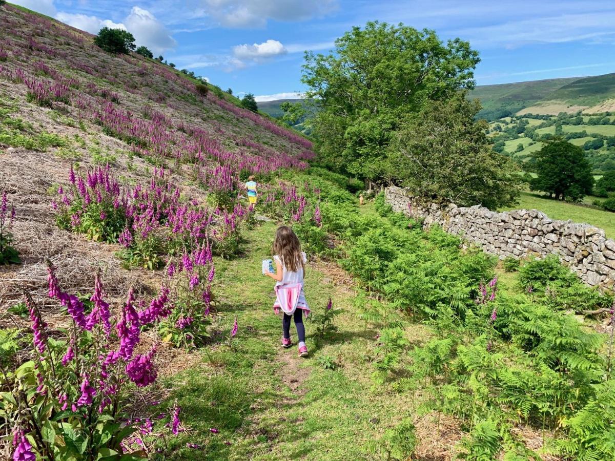 Holiday home Black Mountains Stylish Hideaway, Nr Crickhowell Llanbedr (Crickhowell, Powys)